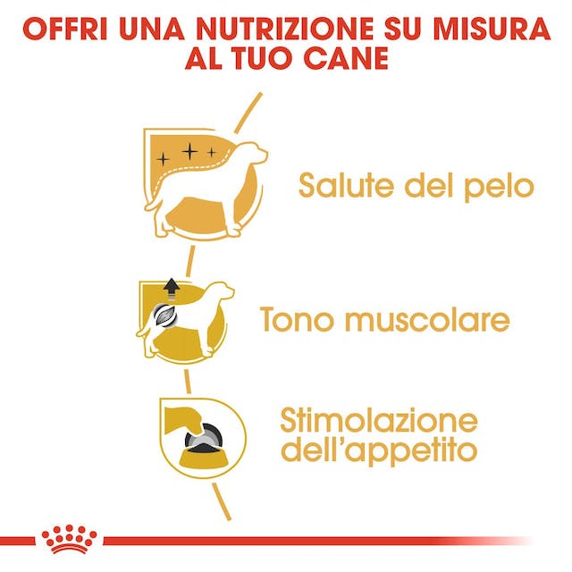 12x85g Royal Canin Barboncino Poodle - Cibo Umido per Cani 12x85g Royal Canin Barboncino Poodle - Cibo Umido per Cani